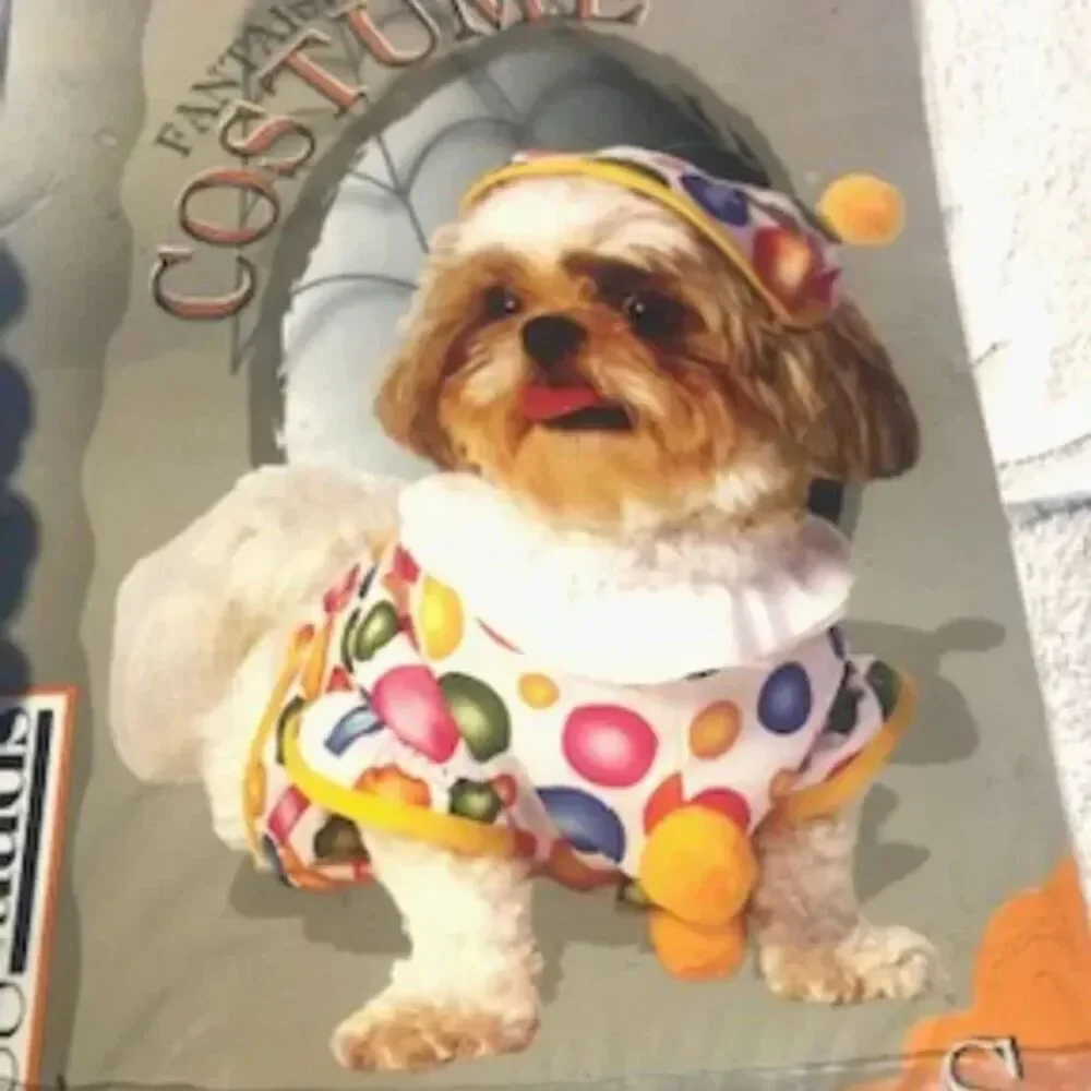 Size: Petite Small Doggie Halloween Costume . 